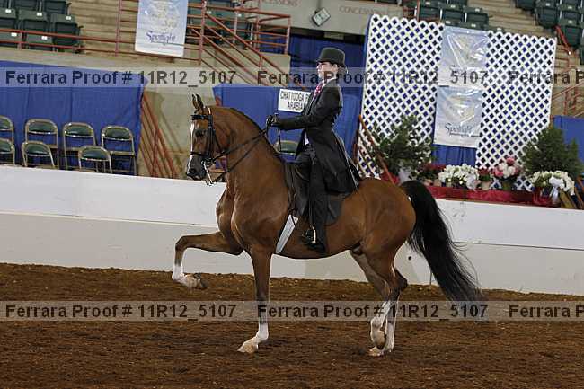 Proof 11r12_5107