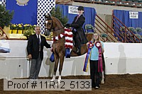 11r12_5133 proof