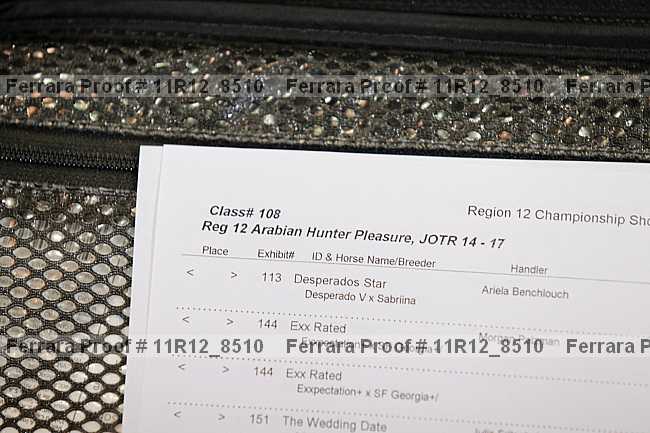 Proof 11r12_8510