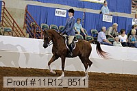 11r12_8511 proof
