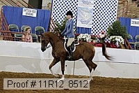 11r12_8512 proof
