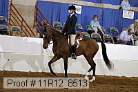 11r12_8513 proof