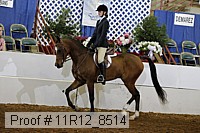 11r12_8514 proof