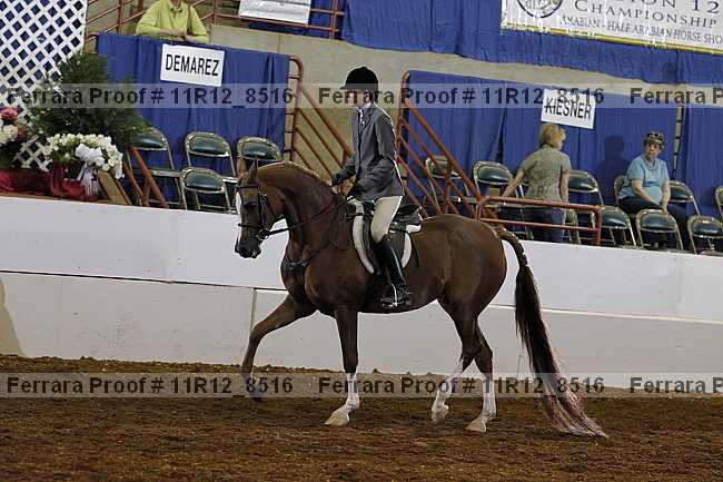Proof 11r12_8516