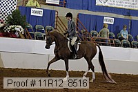 11r12_8516 proof