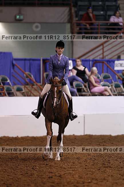 Proof 11r12_8517