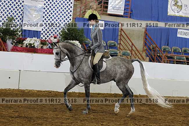 Proof 11r12_8518