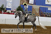 11r12_8518 proof