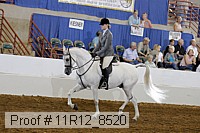 11r12_8520 proof