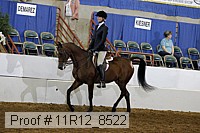 11r12_8522 proof