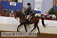 11r12_8524 proof