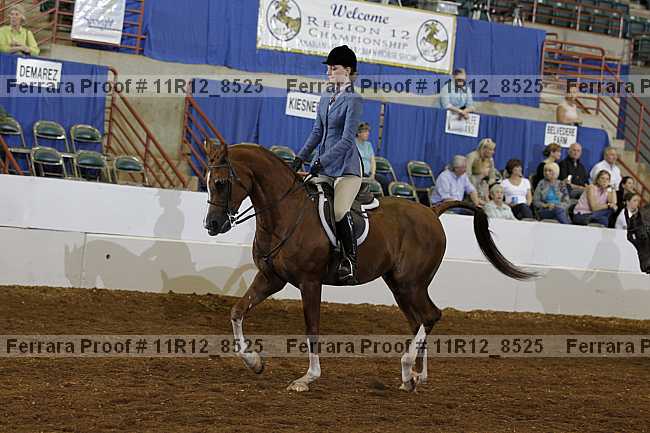 Proof 11r12_8525