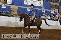 11r12_8525 proof