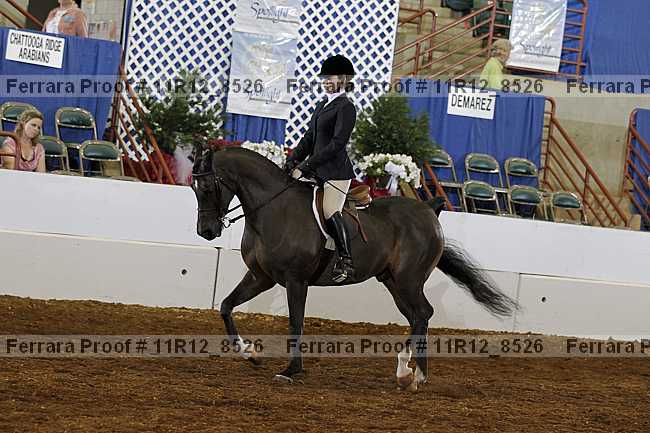 Proof 11r12_8526