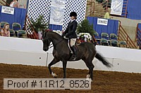 11r12_8526 proof