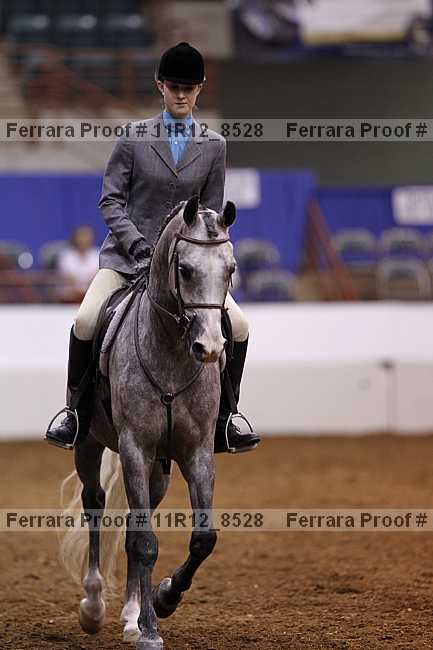 Proof 11r12_8528