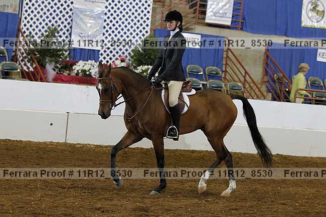 Proof 11r12_8530