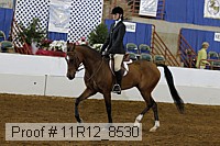 11r12_8530 proof