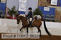 11r12_8533 proof