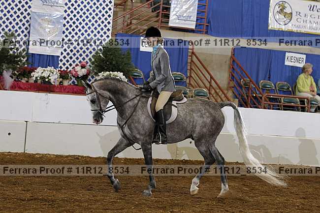 Proof 11r12_8534