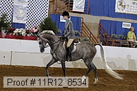 11r12_8534 proof
