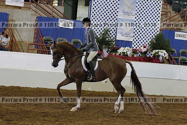 Proof 11r12_8538