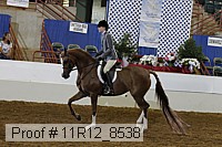 11r12_8538 proof