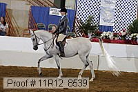 11r12_8539 proof
