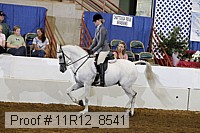 11r12_8541 proof
