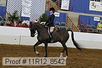 11r12_8542 proof