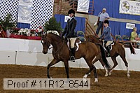 11r12_8544 proof