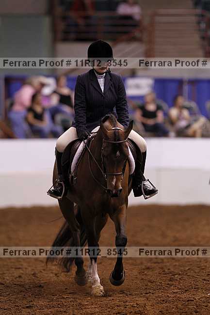 Proof 11r12_8545