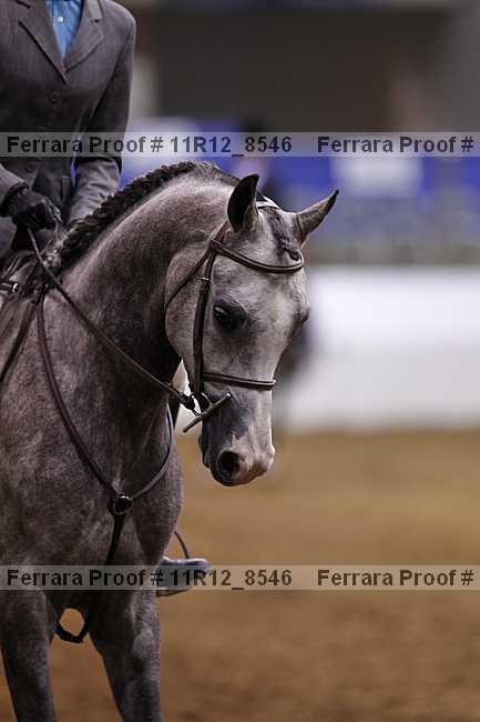 Proof 11r12_8546