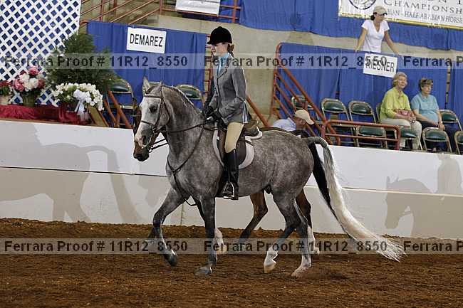 Proof 11r12_8550