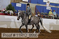 11r12_8550 proof