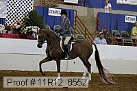 11r12_8552 proof
