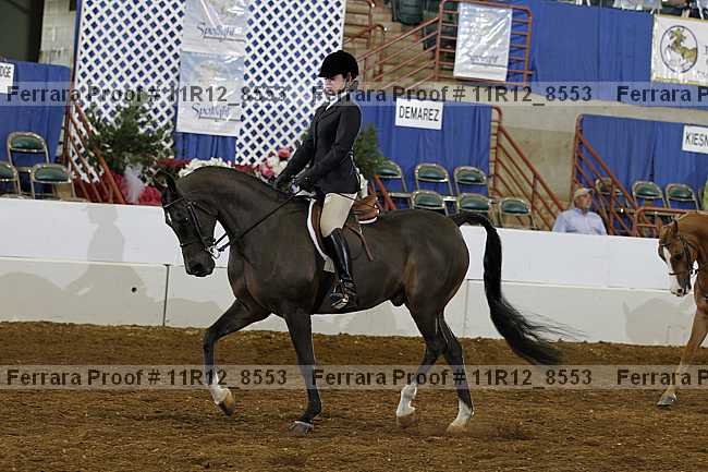 Proof 11r12_8553
