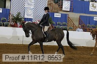 11r12_8553 proof