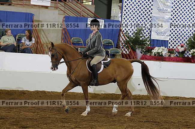 Proof 11r12_8554