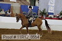 11r12_8554 proof