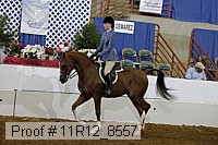 11r12_8557 proof