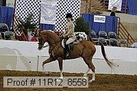 11r12_8558 proof