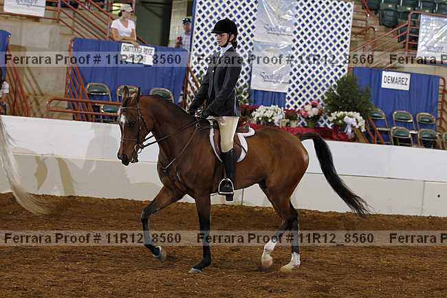 Proof 11r12_8560