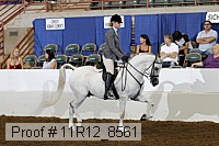 11r12_8561 proof