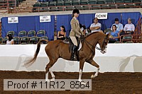 11r12_8564 proof
