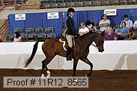 11r12_8565 proof
