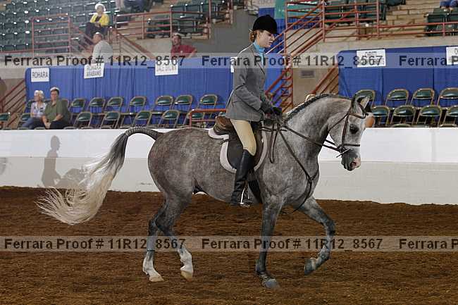 Proof 11r12_8567