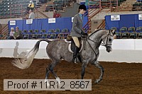 11r12_8567 proof
