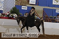 11r12_5155 proof