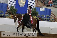 11r12_5181 proof